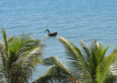 View---Coracle-above-the-coconut-trees